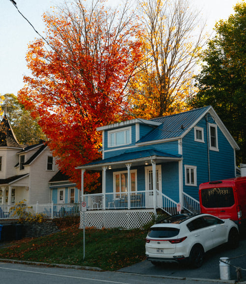 pexels-matreding-34298359